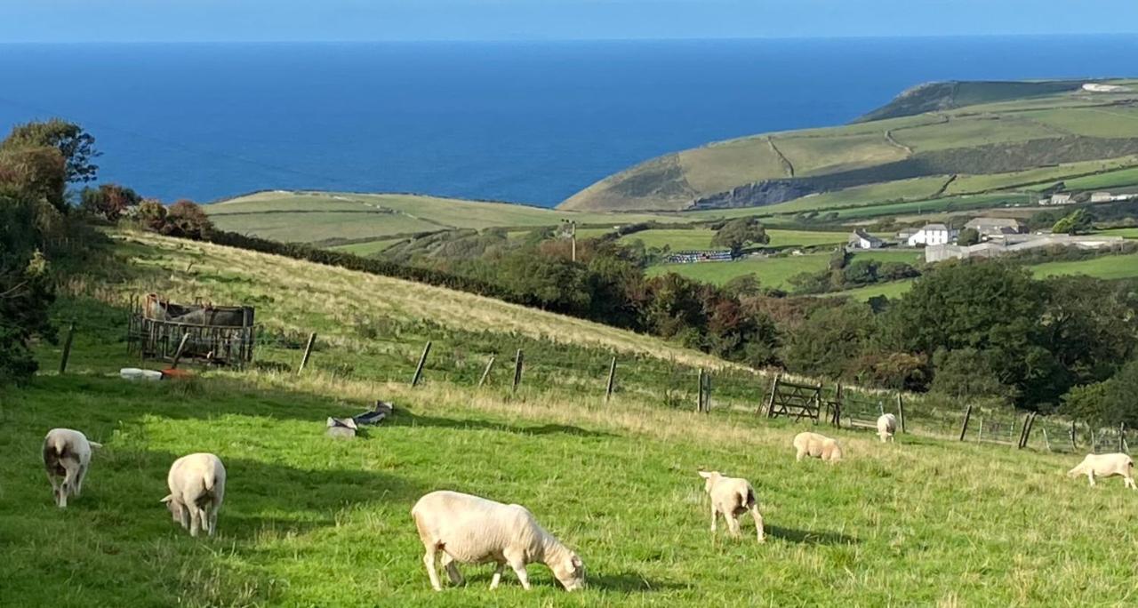 Polrunny Farm Sloe Cottage With A Sea View ボスキャッスル エクステリア 写真