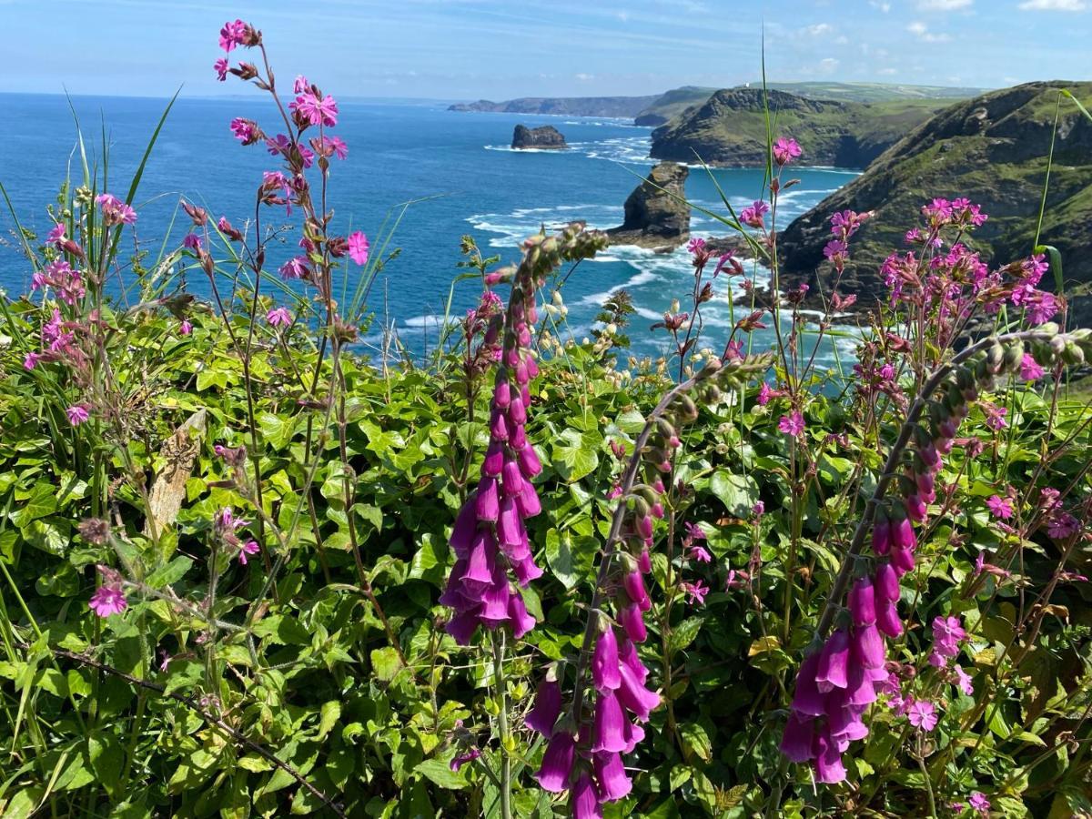 Polrunny Farm Sloe Cottage With A Sea View ボスキャッスル エクステリア 写真