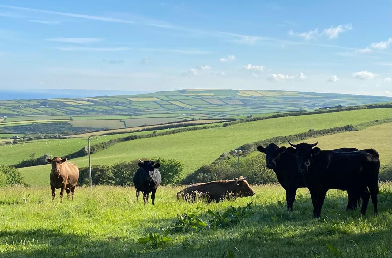 Polrunny Farm Sloe Cottage With A Sea View ボスキャッスル エクステリア 写真