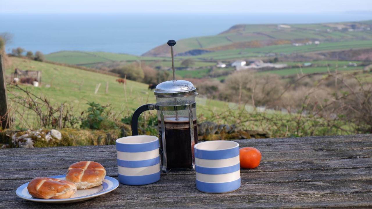 Polrunny Farm Sloe Cottage With A Sea View ボスキャッスル エクステリア 写真