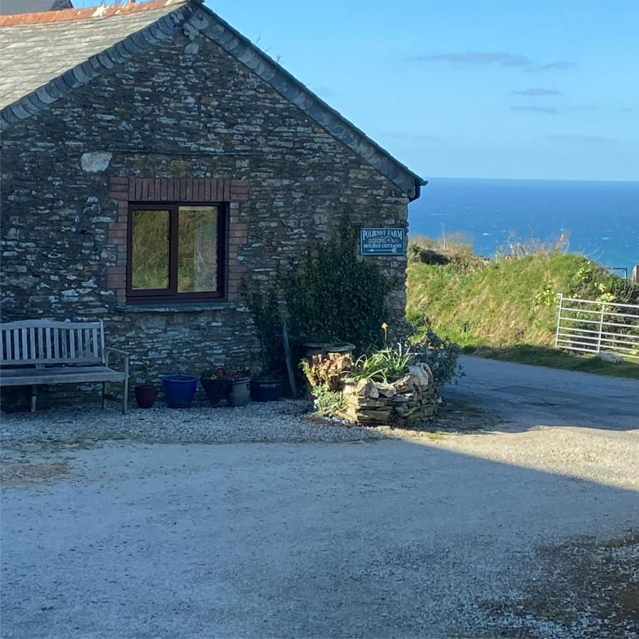 Polrunny Farm Sloe Cottage With A Sea View ボスキャッスル エクステリア 写真
