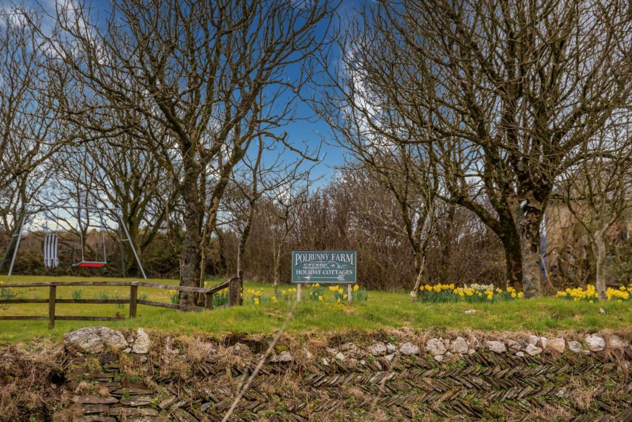Polrunny Farm Sloe Cottage With A Sea View ボスキャッスル エクステリア 写真