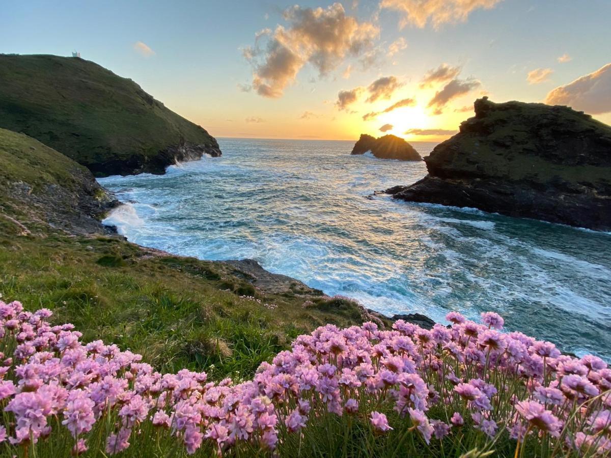 Polrunny Farm Sloe Cottage With A Sea View ボスキャッスル エクステリア 写真