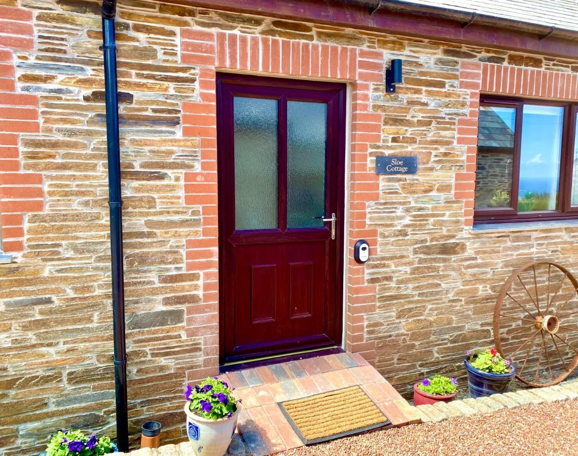 Polrunny Farm Sloe Cottage With A Sea View ボスキャッスル エクステリア 写真