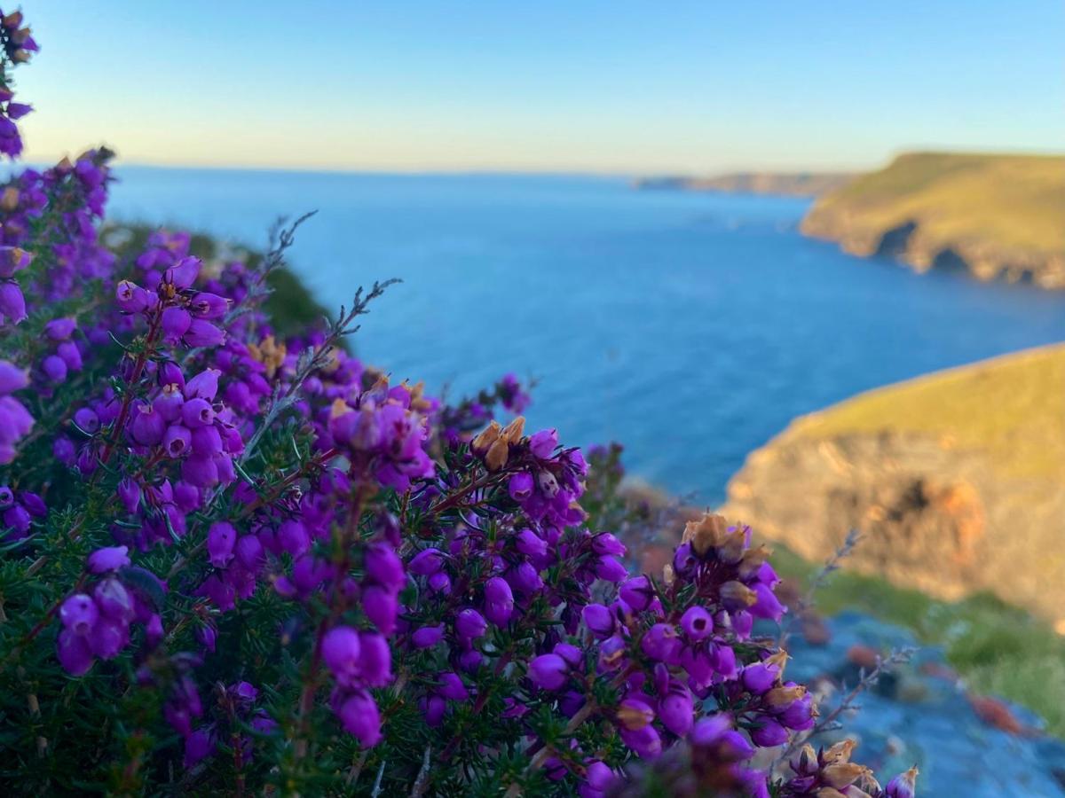 Polrunny Farm Sloe Cottage With A Sea View ボスキャッスル エクステリア 写真
