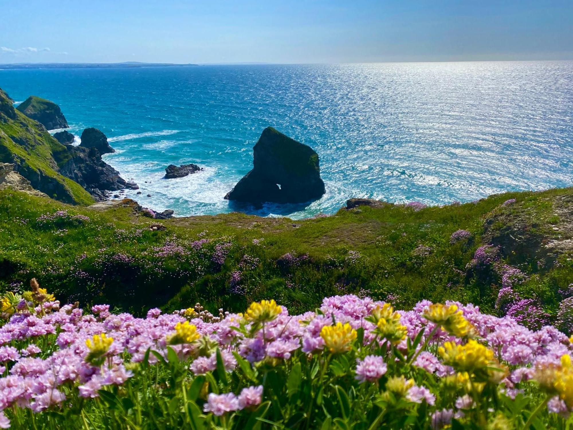 Polrunny Farm Sloe Cottage With A Sea View ボスキャッスル エクステリア 写真